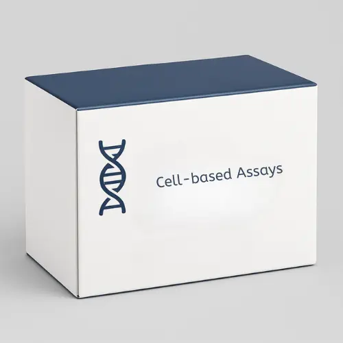 Extracellular OCR Plate Assay Kit