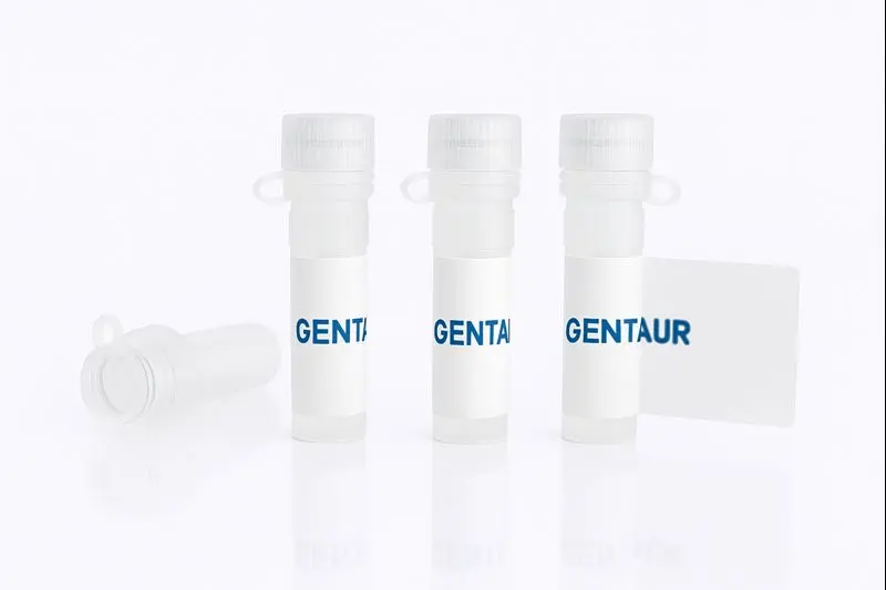 Enterotoxin type G, S. aureus (His-SUMO)