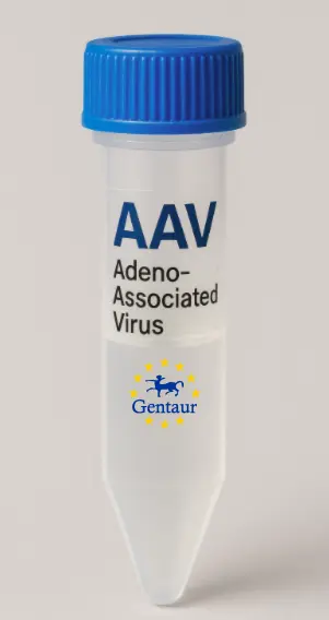 BC031781 AAV Vector (Mouse) (CMV)